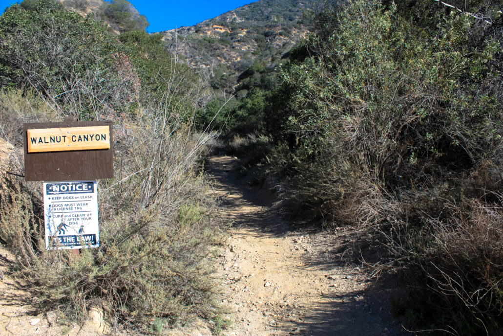 Henninger Flats in the San Gabriel Mountains Modern Hiker
