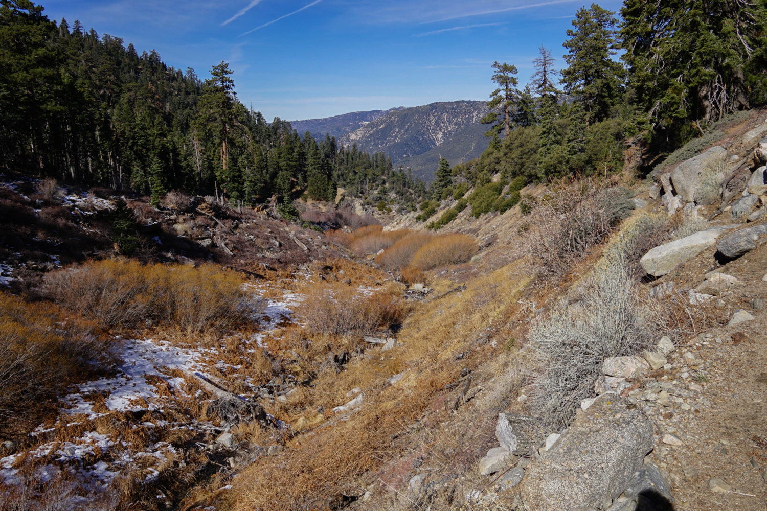 John’s Meadow Trail