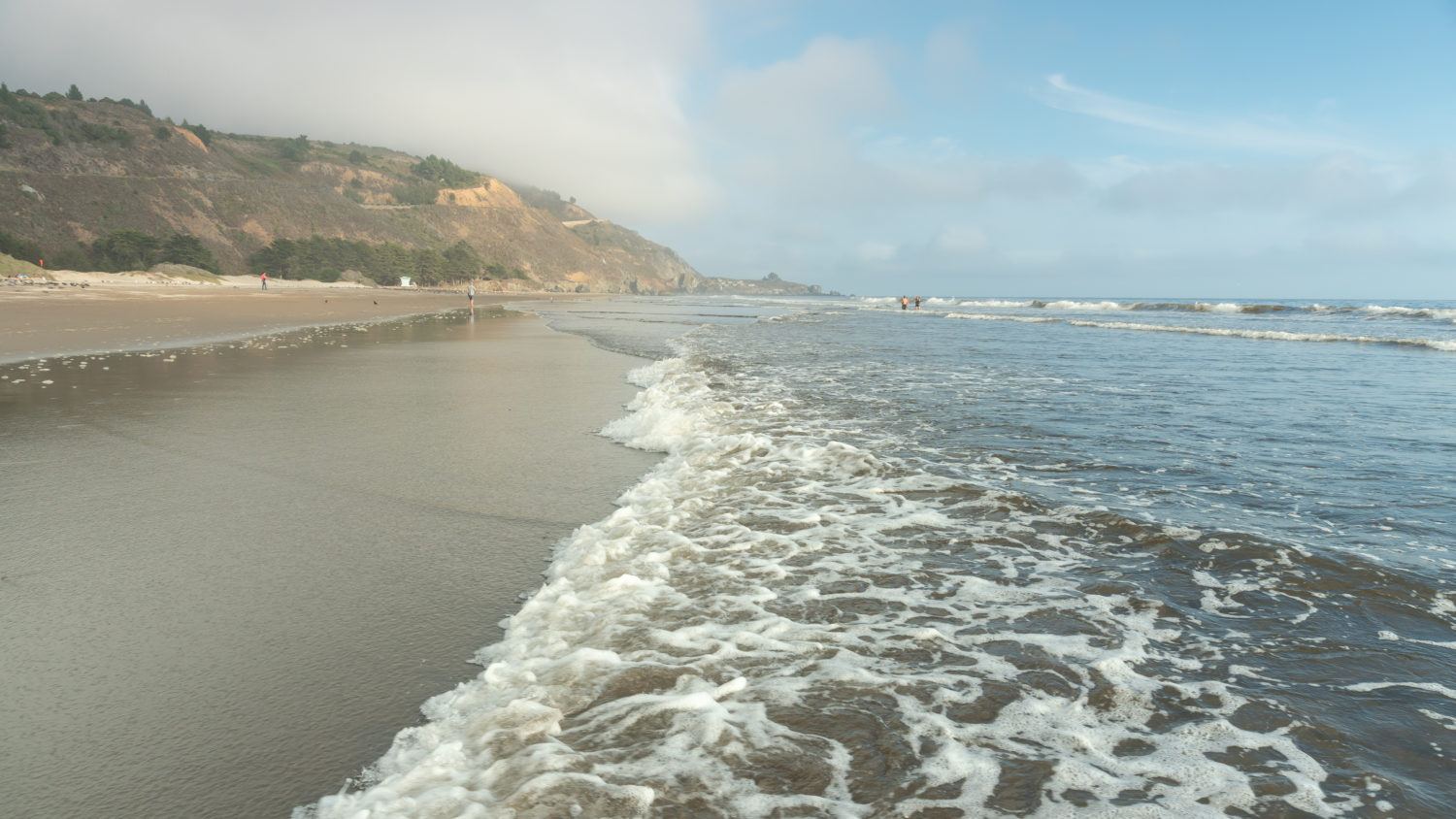 Stinson Beach to East Peak Fire Lookout Loop