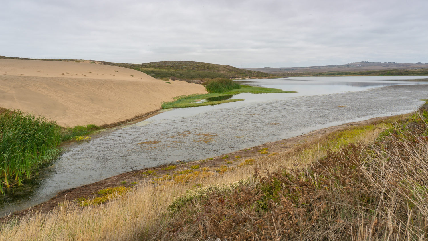 Abbotts Lagoon