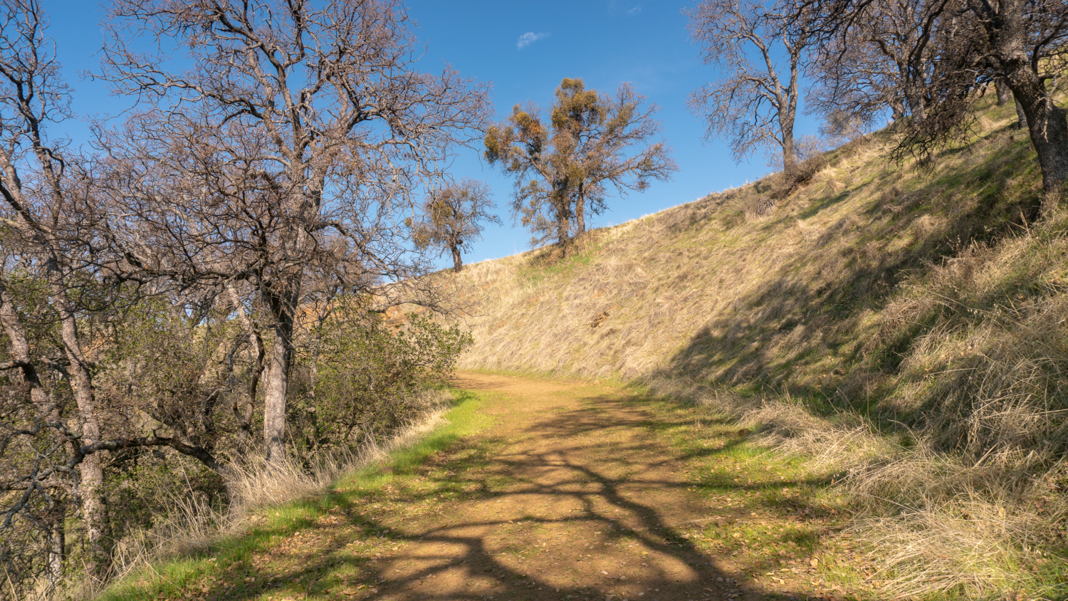 Mount Diablo Waterfall Loop
