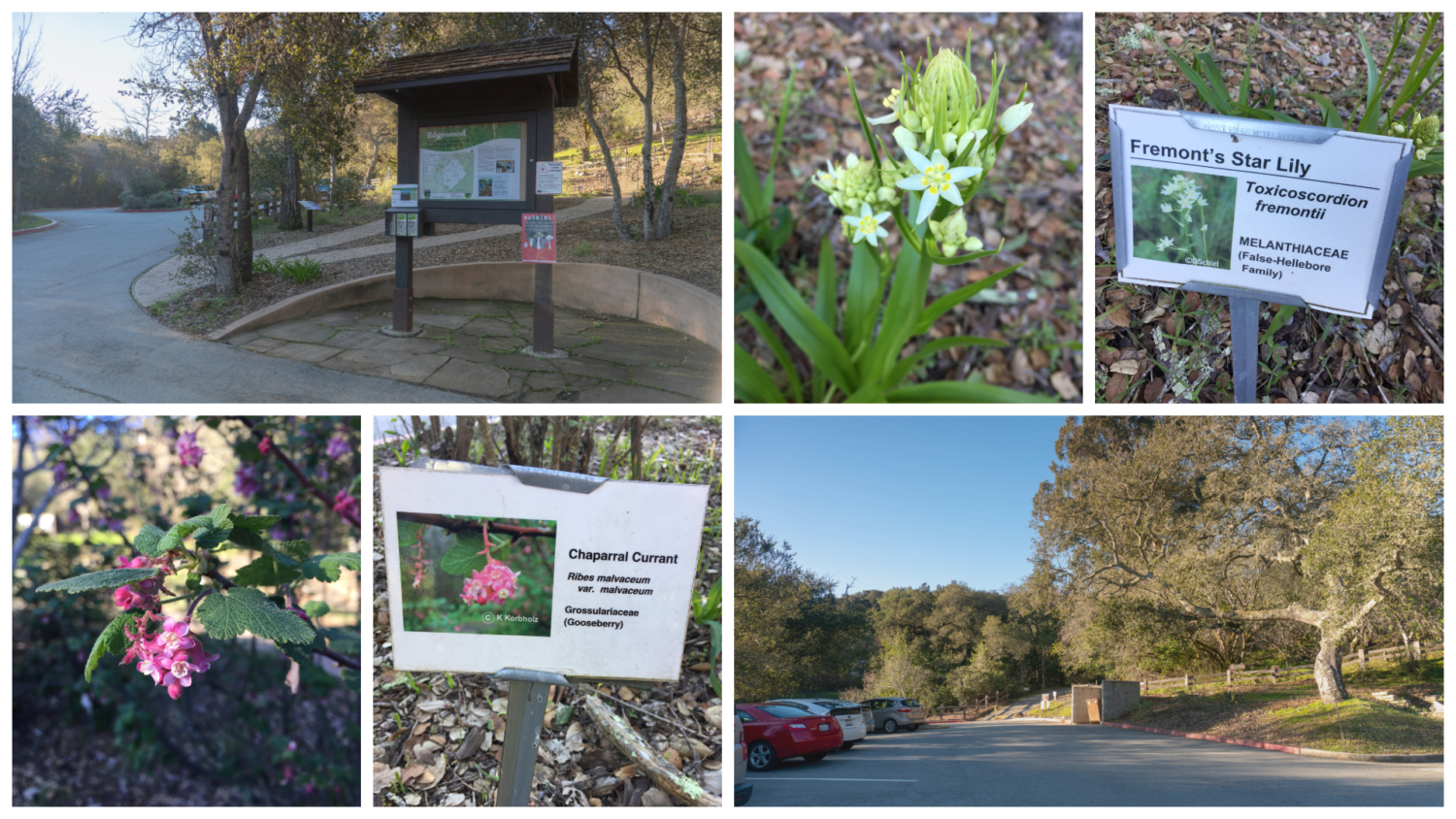 Edgewood Park and Natural Preserve Loop | Modern Hiker