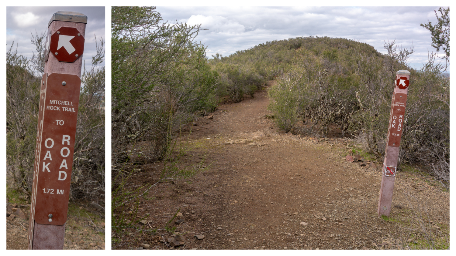 Mount Diablo Summit via Mitchell Canyon