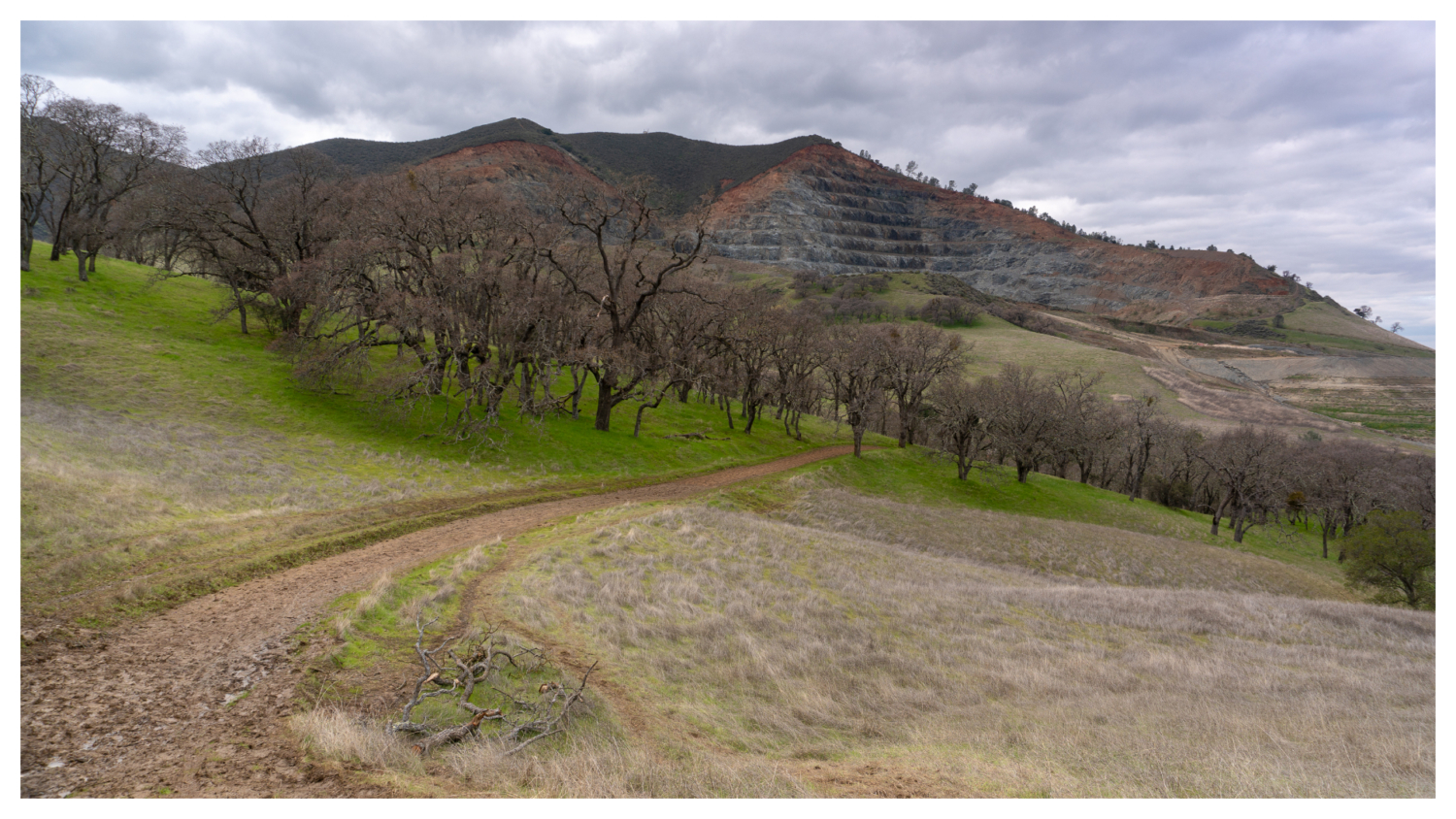 Mount Diablo Summit via Mitchell Canyon