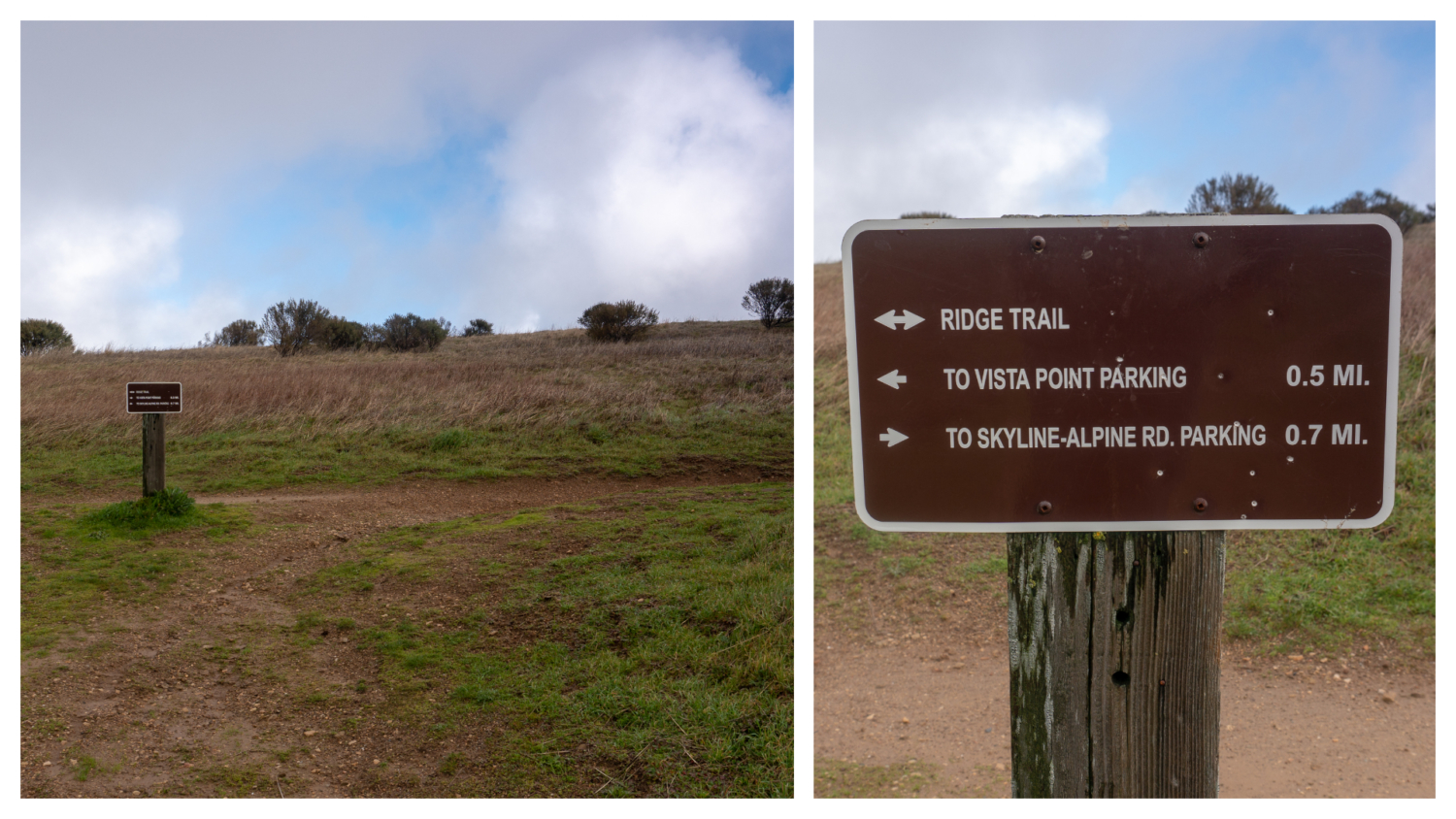 Russian Ridge Loop