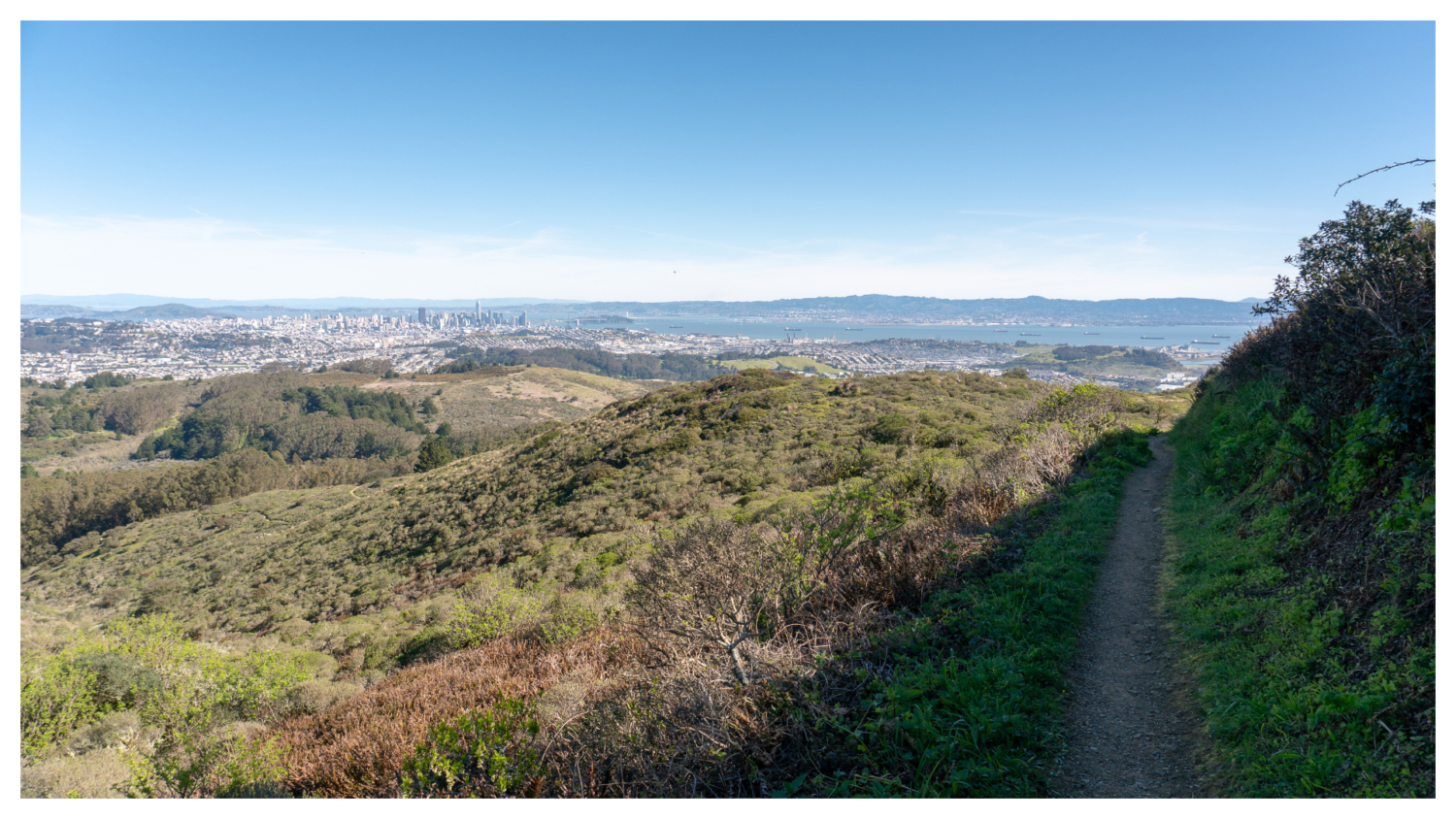 San Bruno Mountain Summit Loop