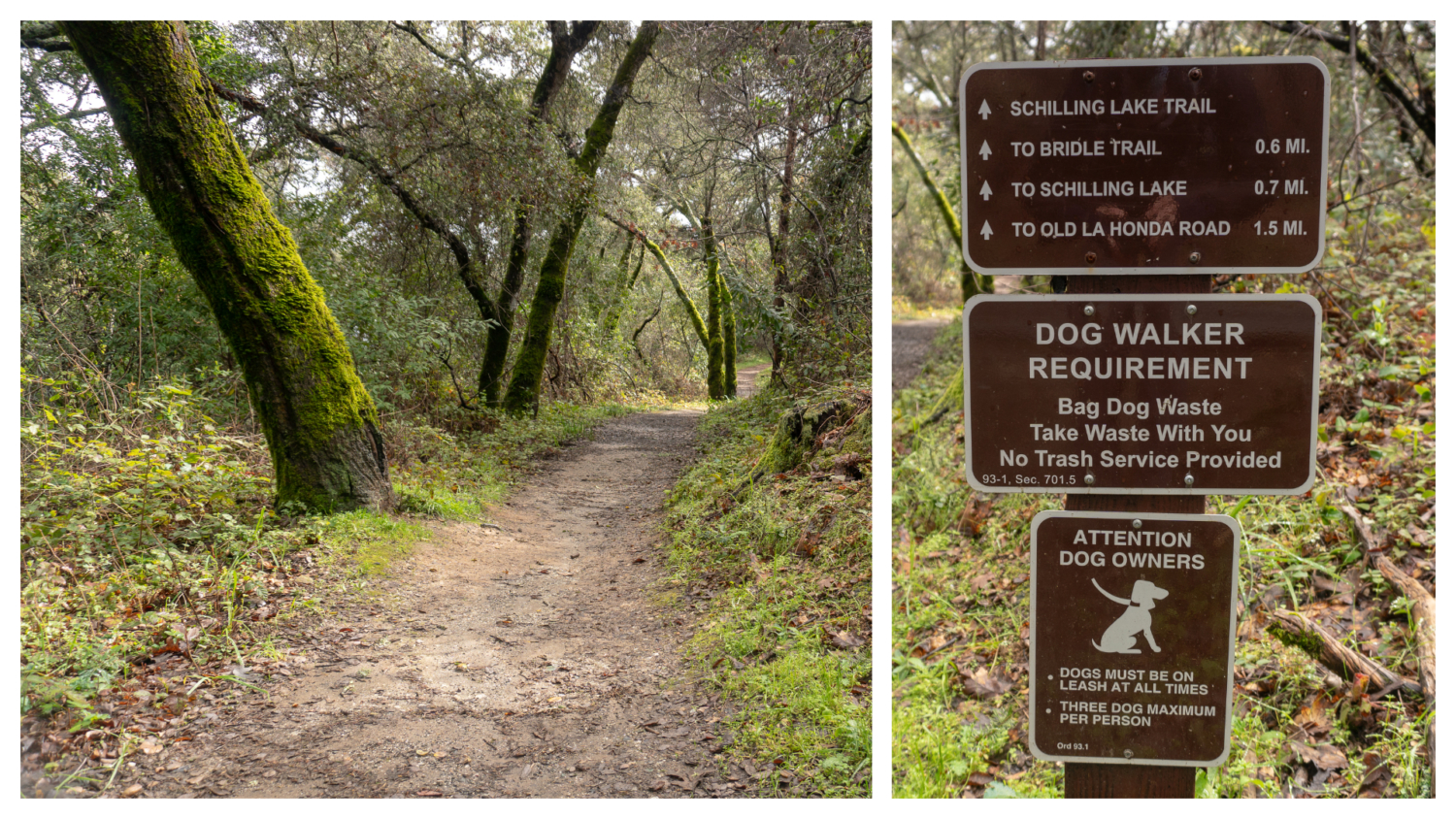 Thornewood Open Space Preserve