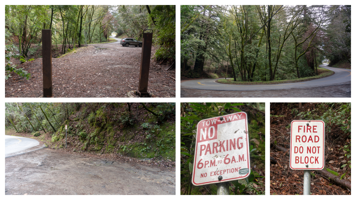 Thornewood Open Space Preserve