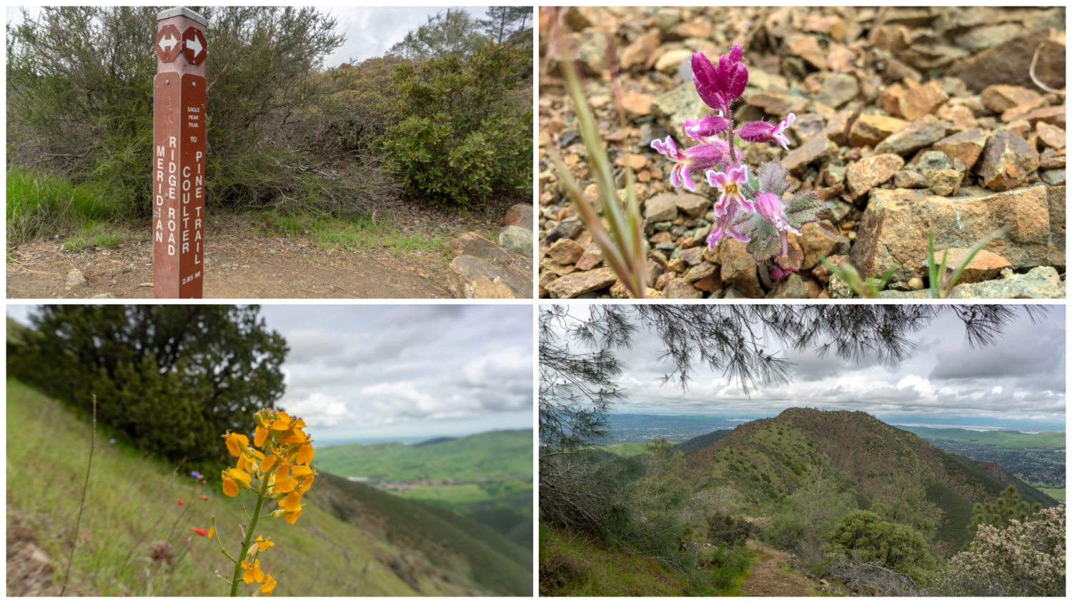 Eagle Peak via Mitchell Canyon