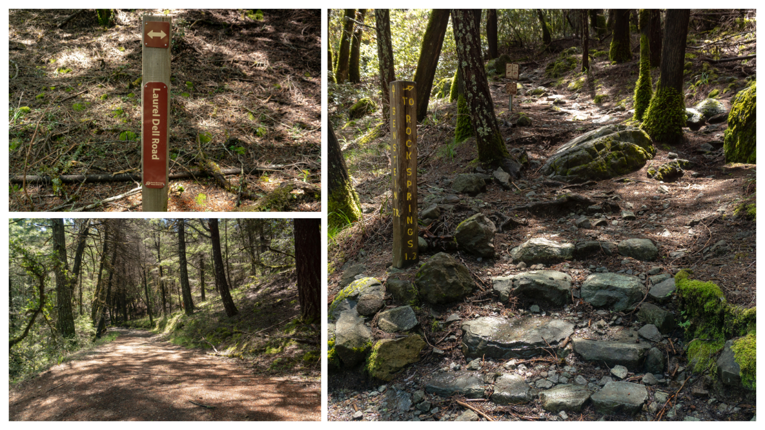 Cataract Creek-Benstein Loop