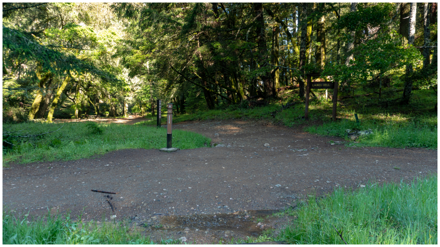 Cataract Creek-Benstein Loop