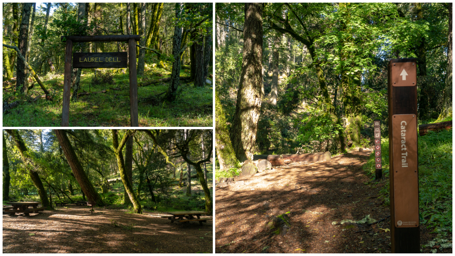 Cataract Creek-Benstein Loop