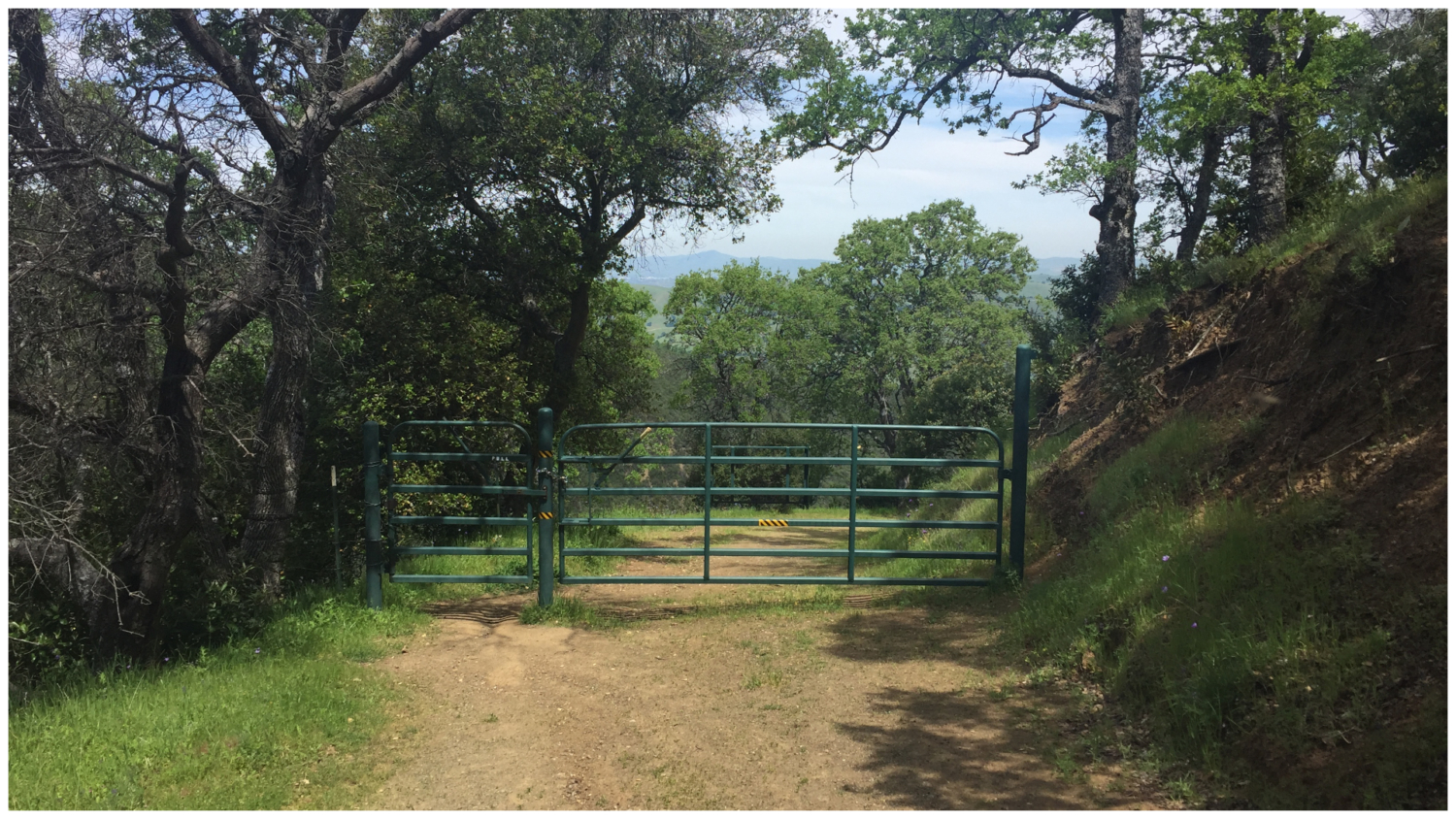 Ohlone Regional Wilderness Trail