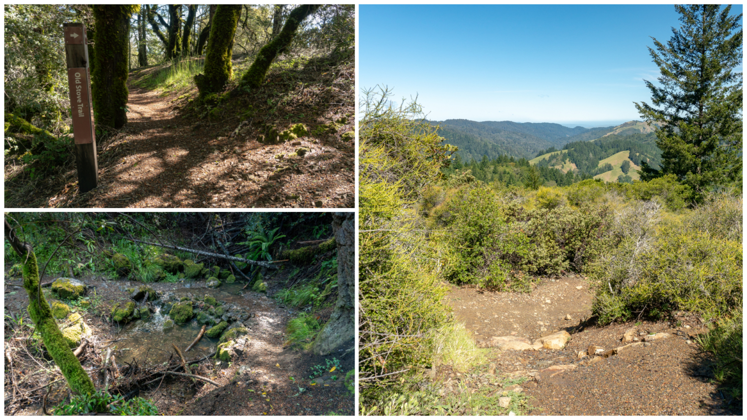 Cataract Creek-Benstein Loop