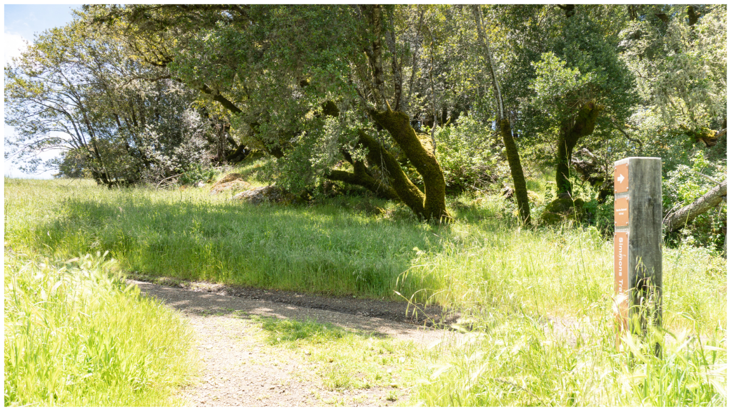 Cataract Creek-Benstein Loop