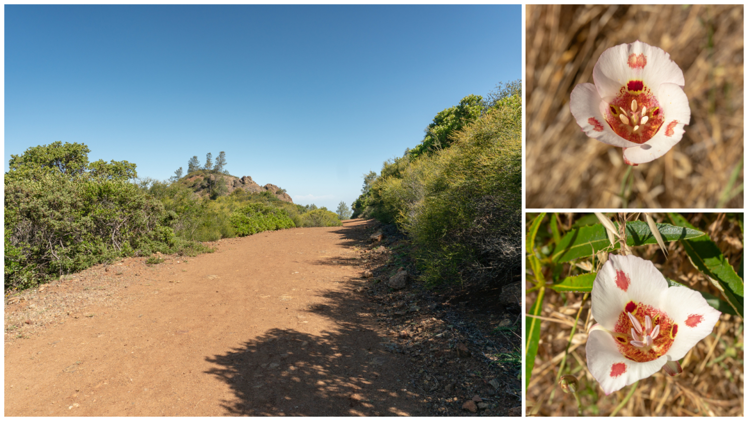 Mount Diablo Grand Loop