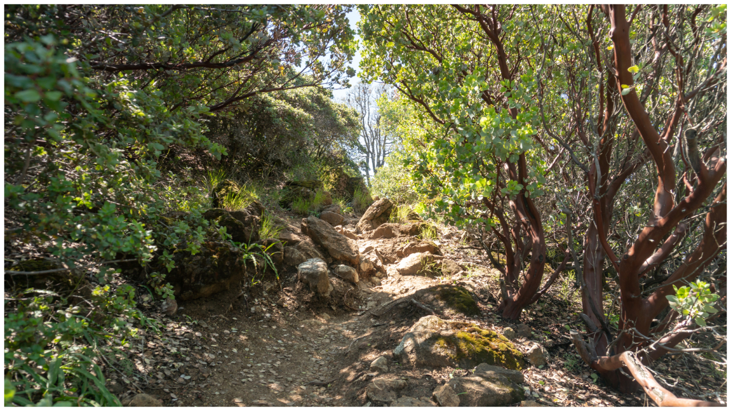 Mount Diablo Grand Loop