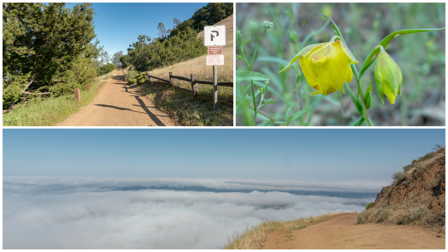 Mount Diablo Grand Loop