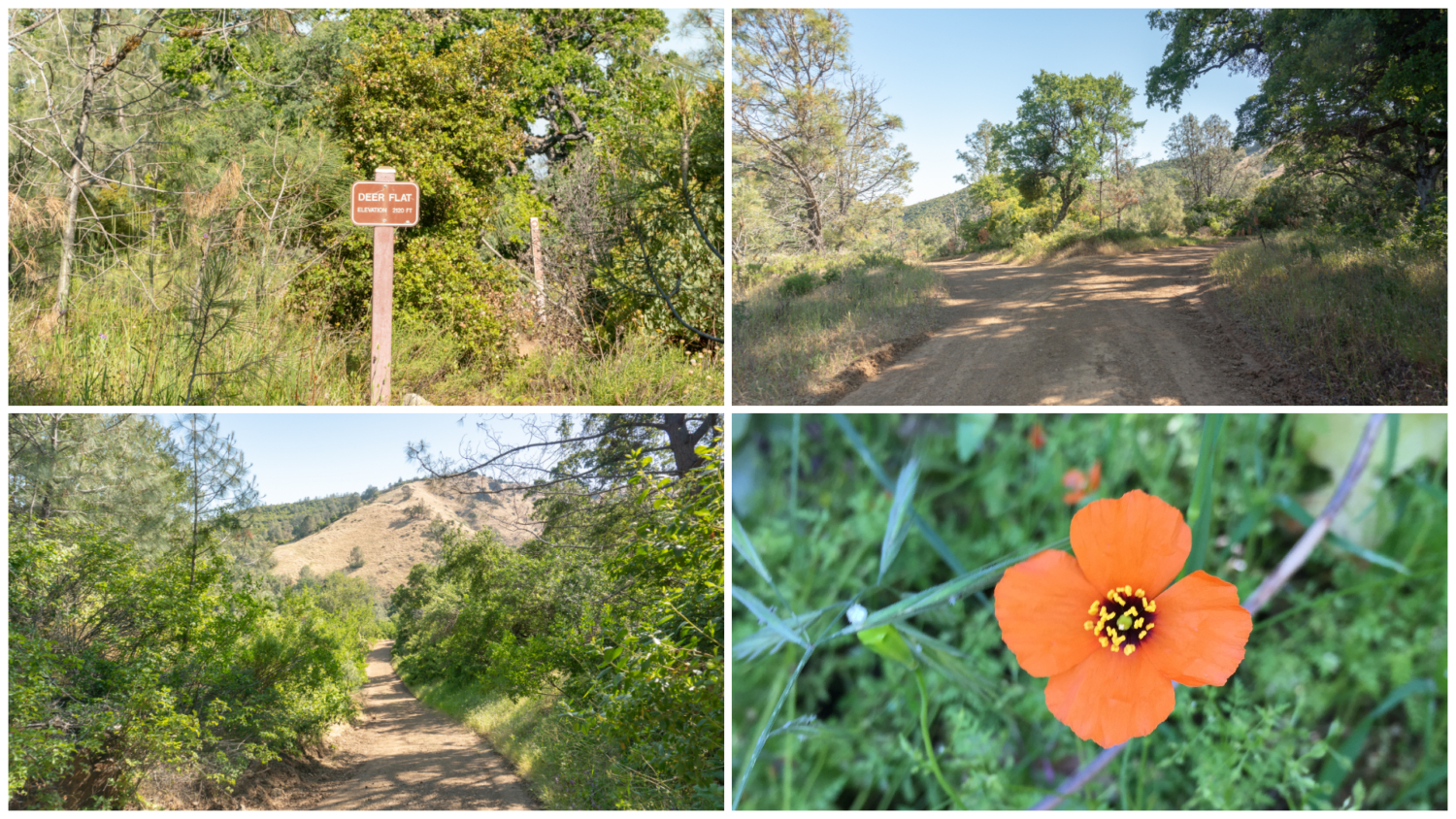 Mount Diablo Grand Loop