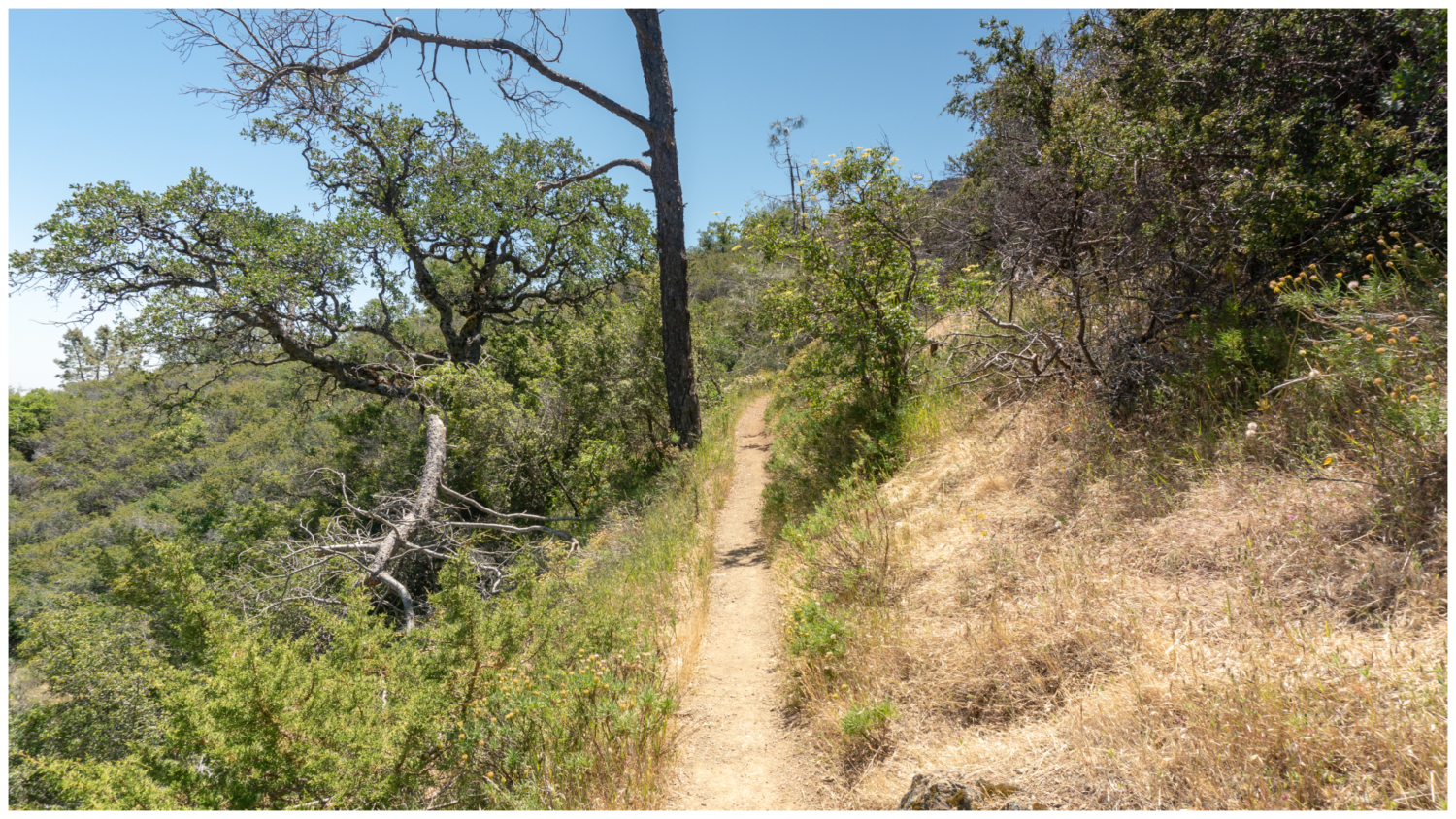 Mount Diablo Grand Loop