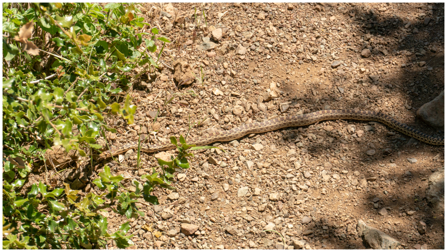 Mount Diablo Grand Loop
