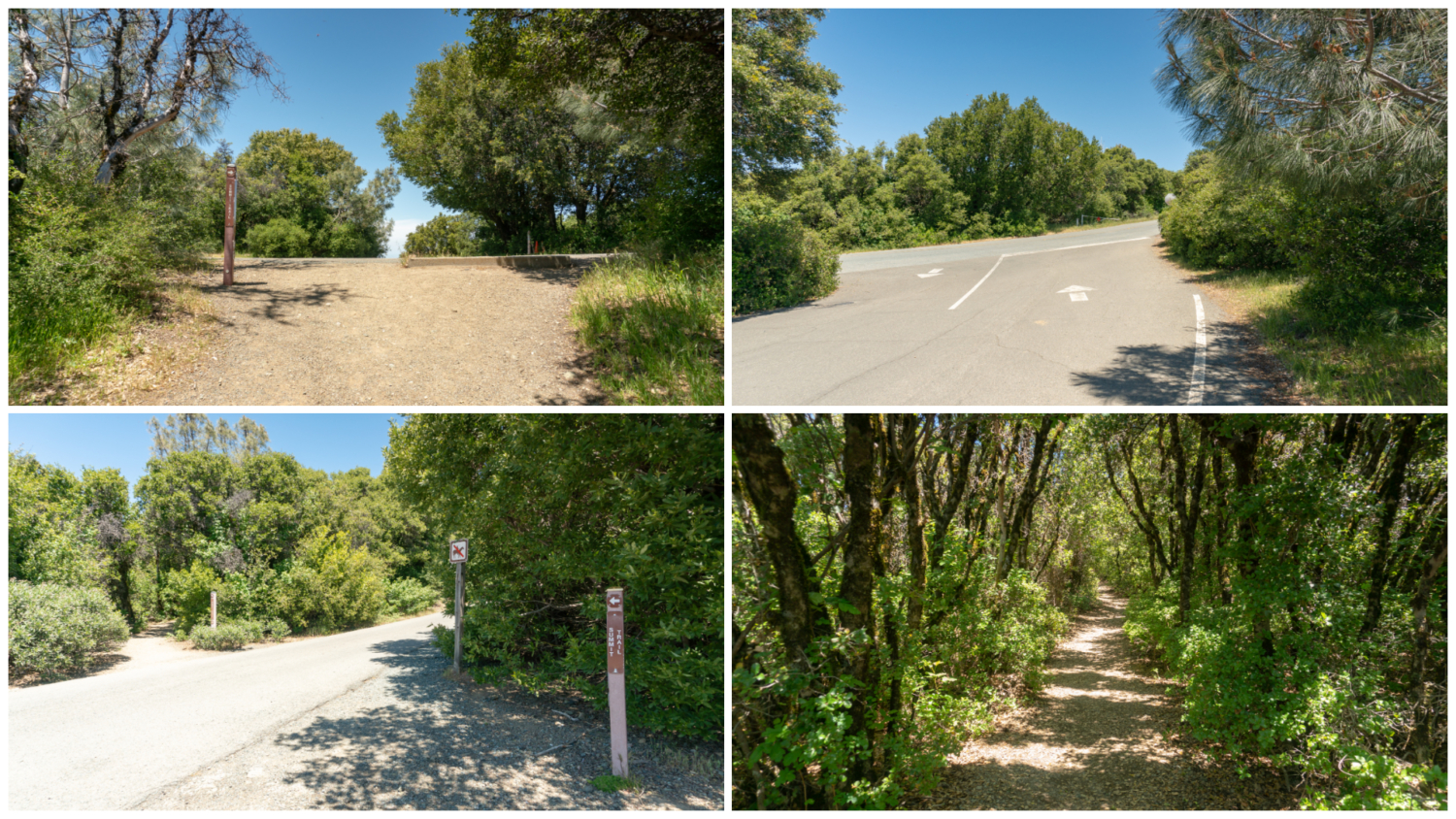 Mount Diablo Grand Loop