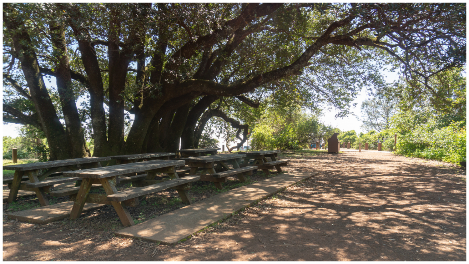 Mount Diablo Grand Loop