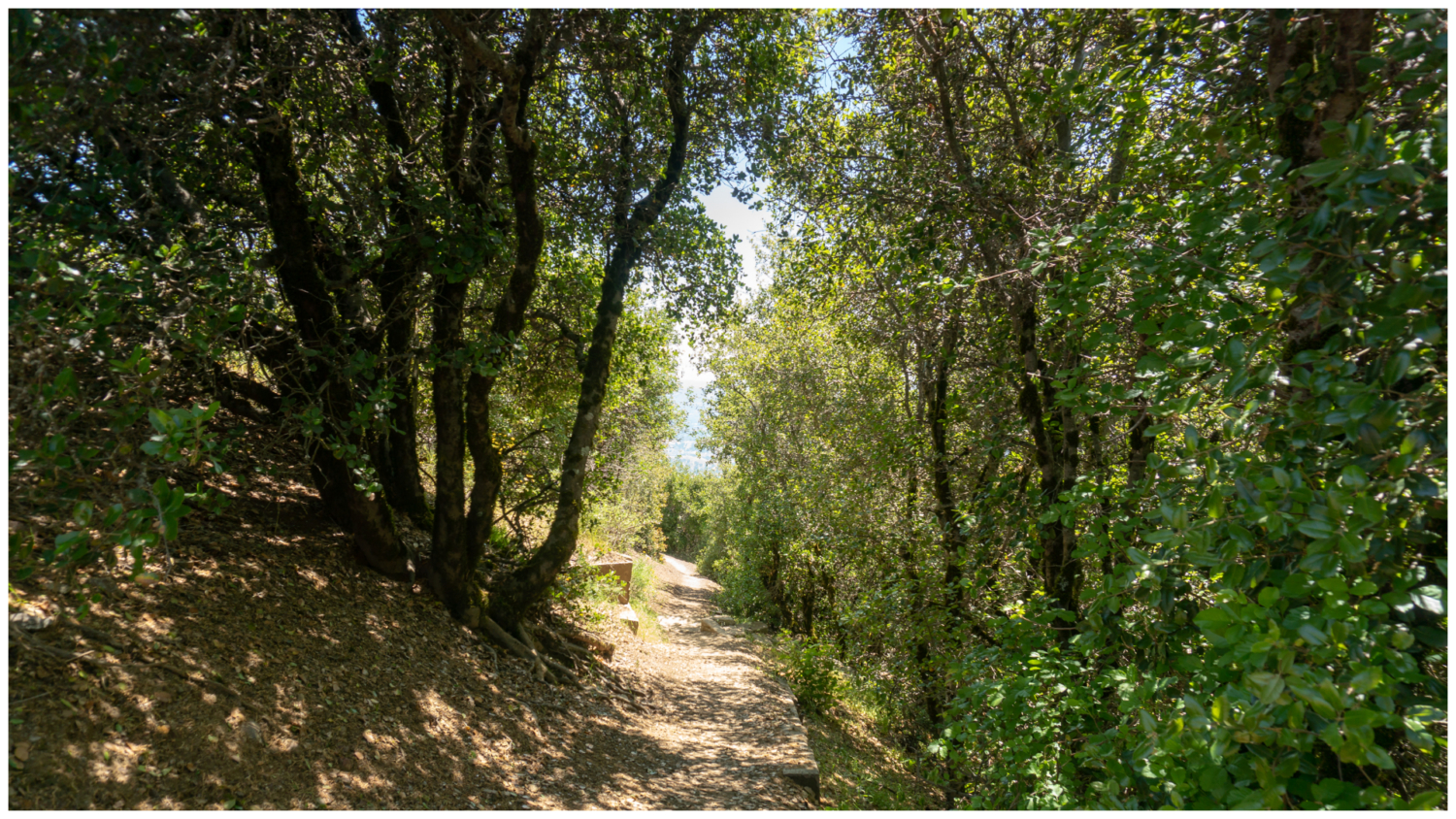 Mount Diablo Grand Loop