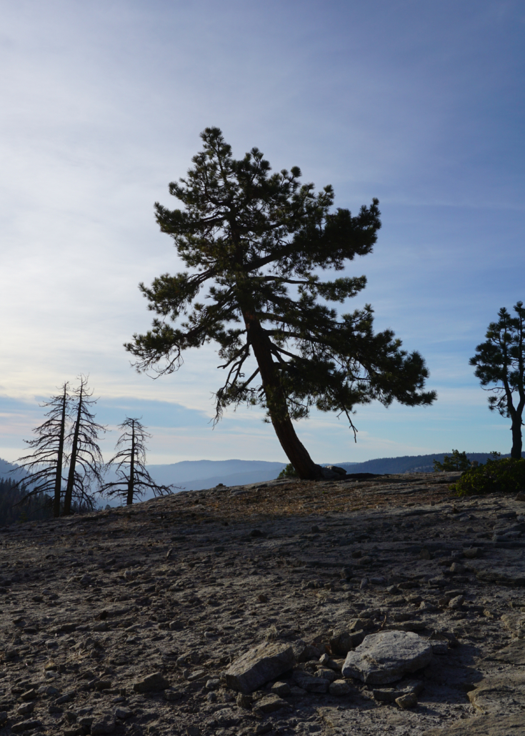 Sentinel Dome in Yosemite National Park