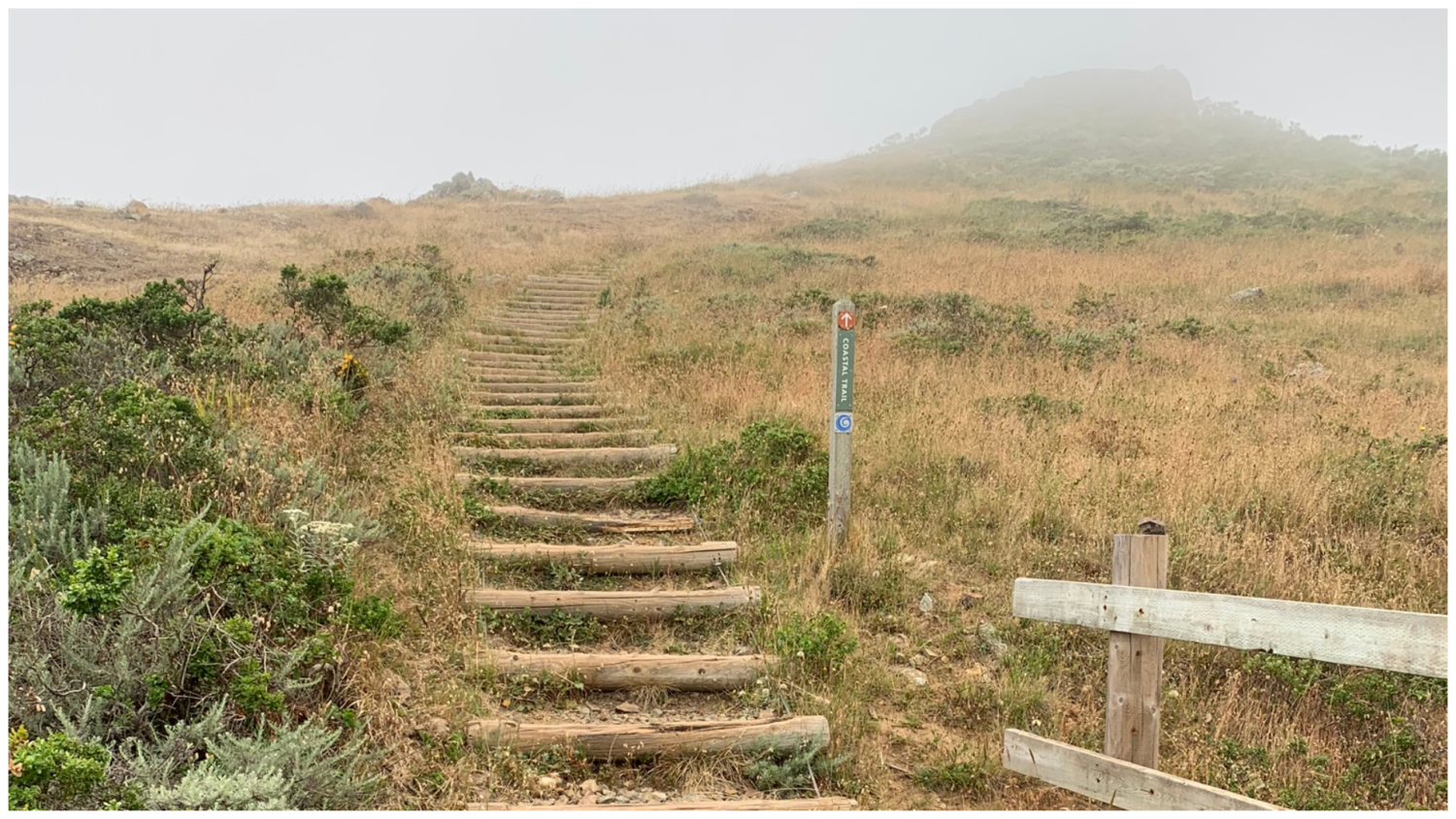 Coastal Trail – Hill 88 Loop