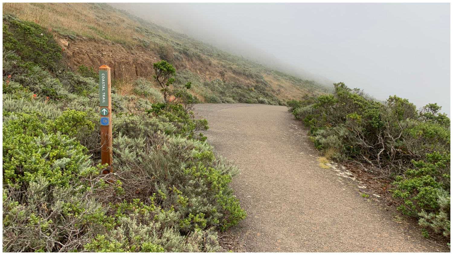 Coastal Trail – Hill 88 Loop