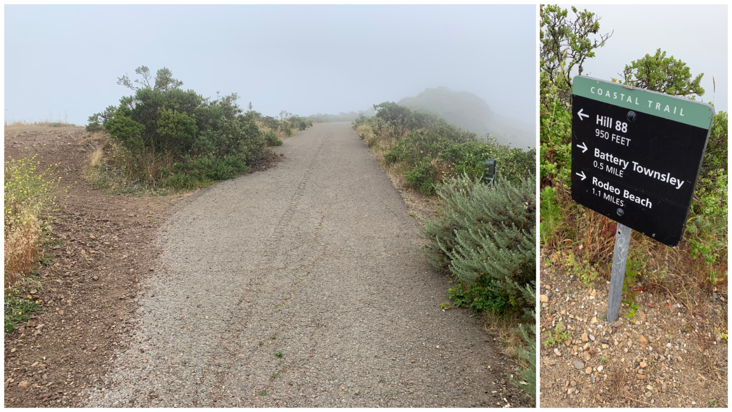 Coastal Trail – Hill 88 Loop