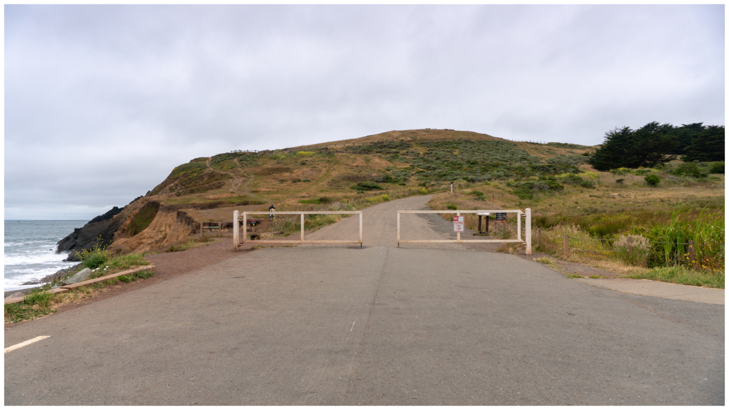 Coastal Trail – Hill 88 Loop
