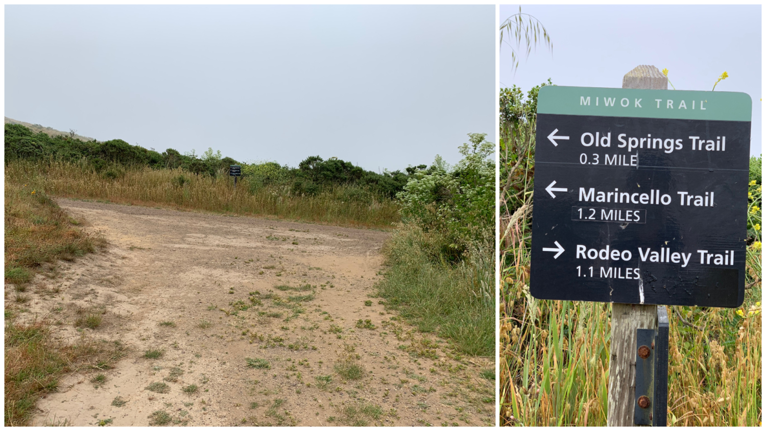 Coastal Trail – Hill 88 Loop