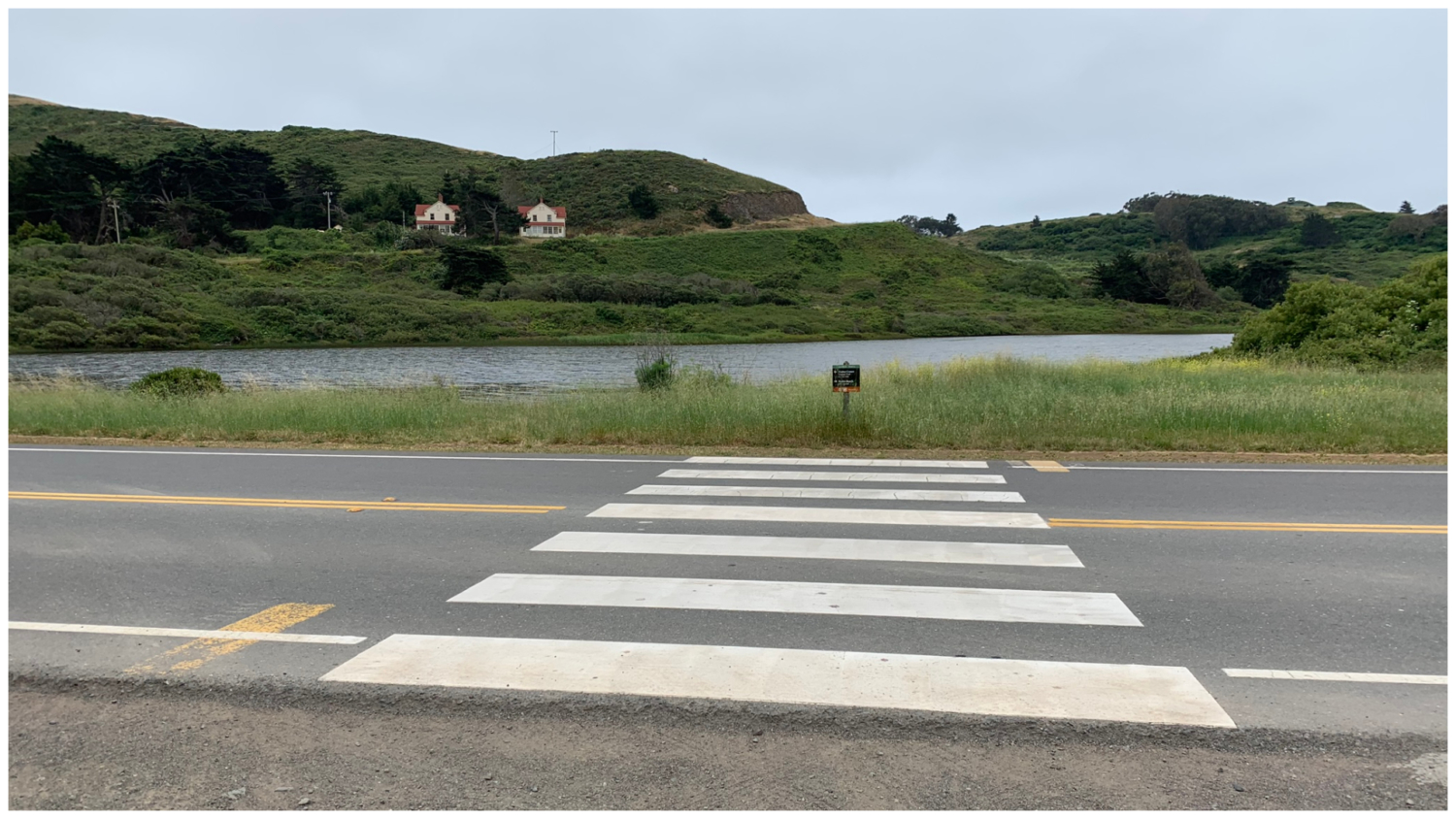 Coastal Trail – Hill 88 Loop