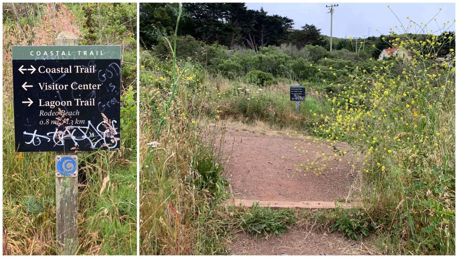 Coastal Trail – Hill 88 Loop