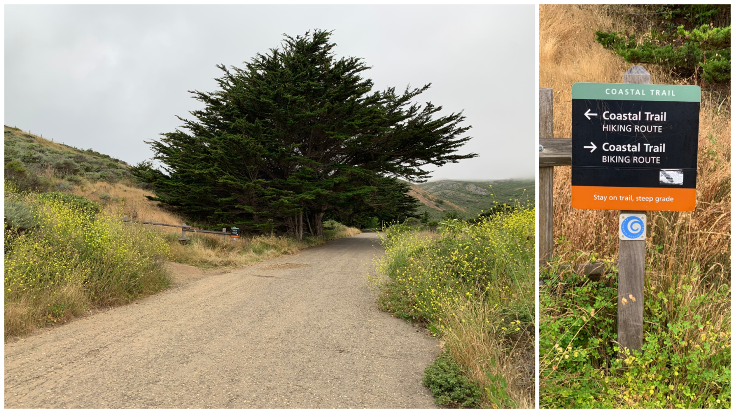 Coastal Trail – Hill 88 Loop