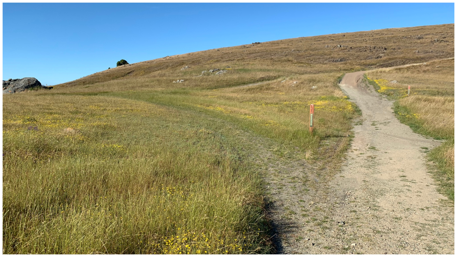 Ring Mountain Preserve Loop