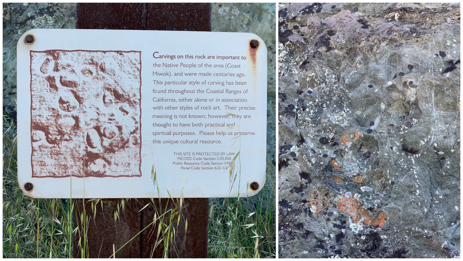 Ring Mountain Preserve Loop