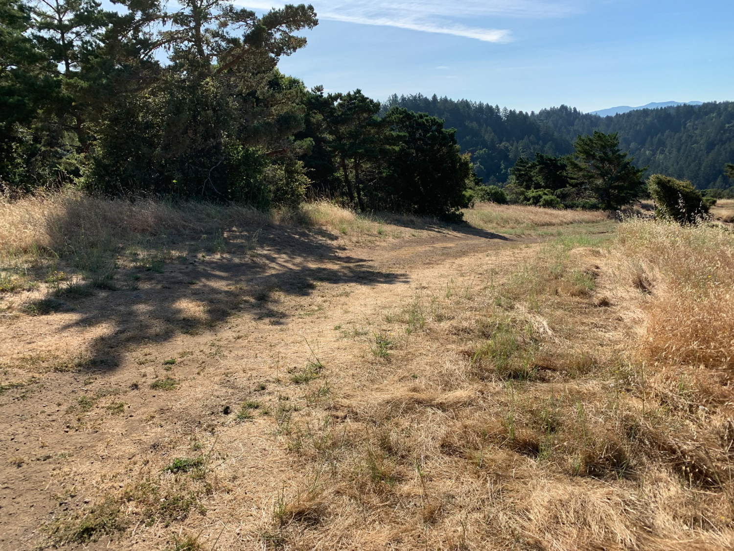 Alpine Pond to Horseshoe Lake