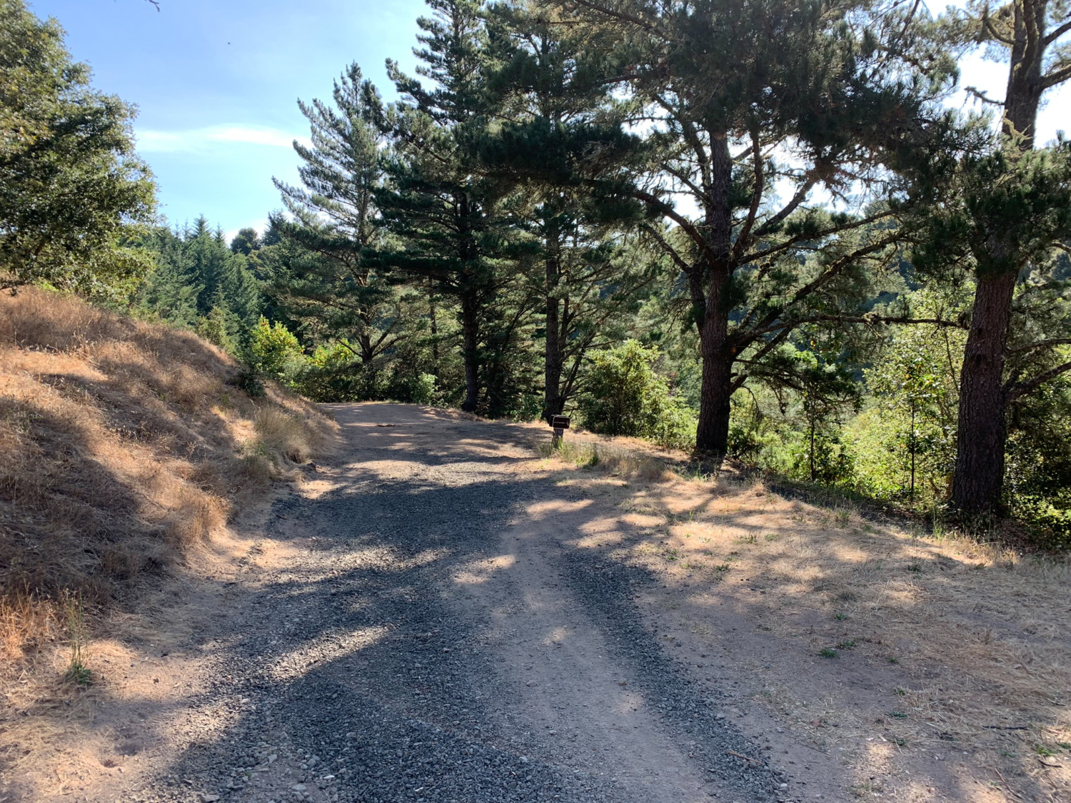 Alpine Pond to Horseshoe Lake