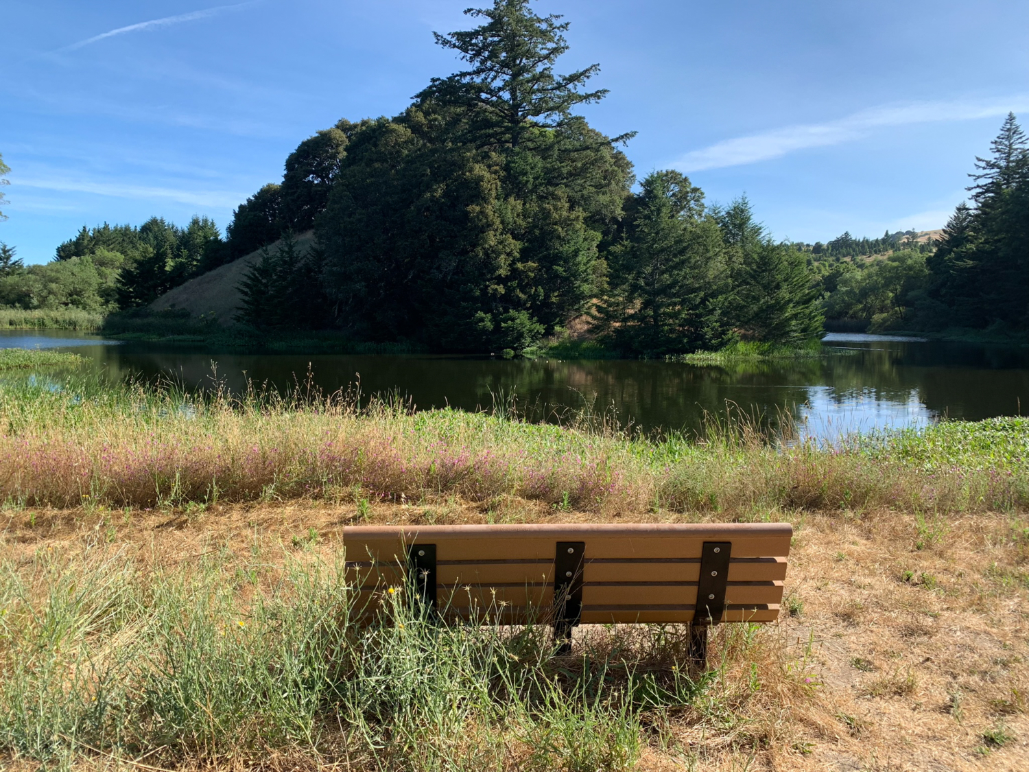 Alpine Pond to Horseshoe Lake