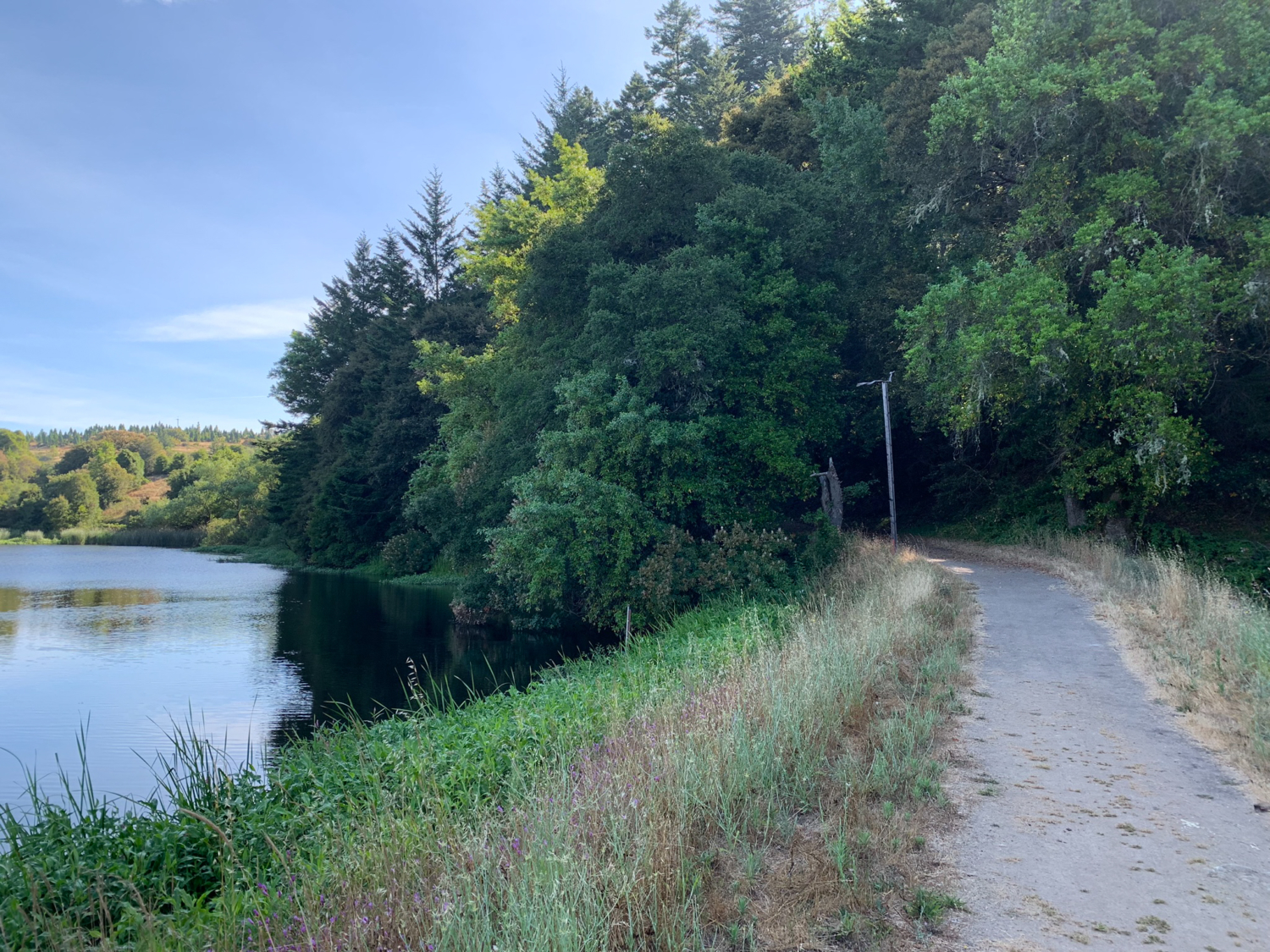 Alpine Pond to Horseshoe Lake