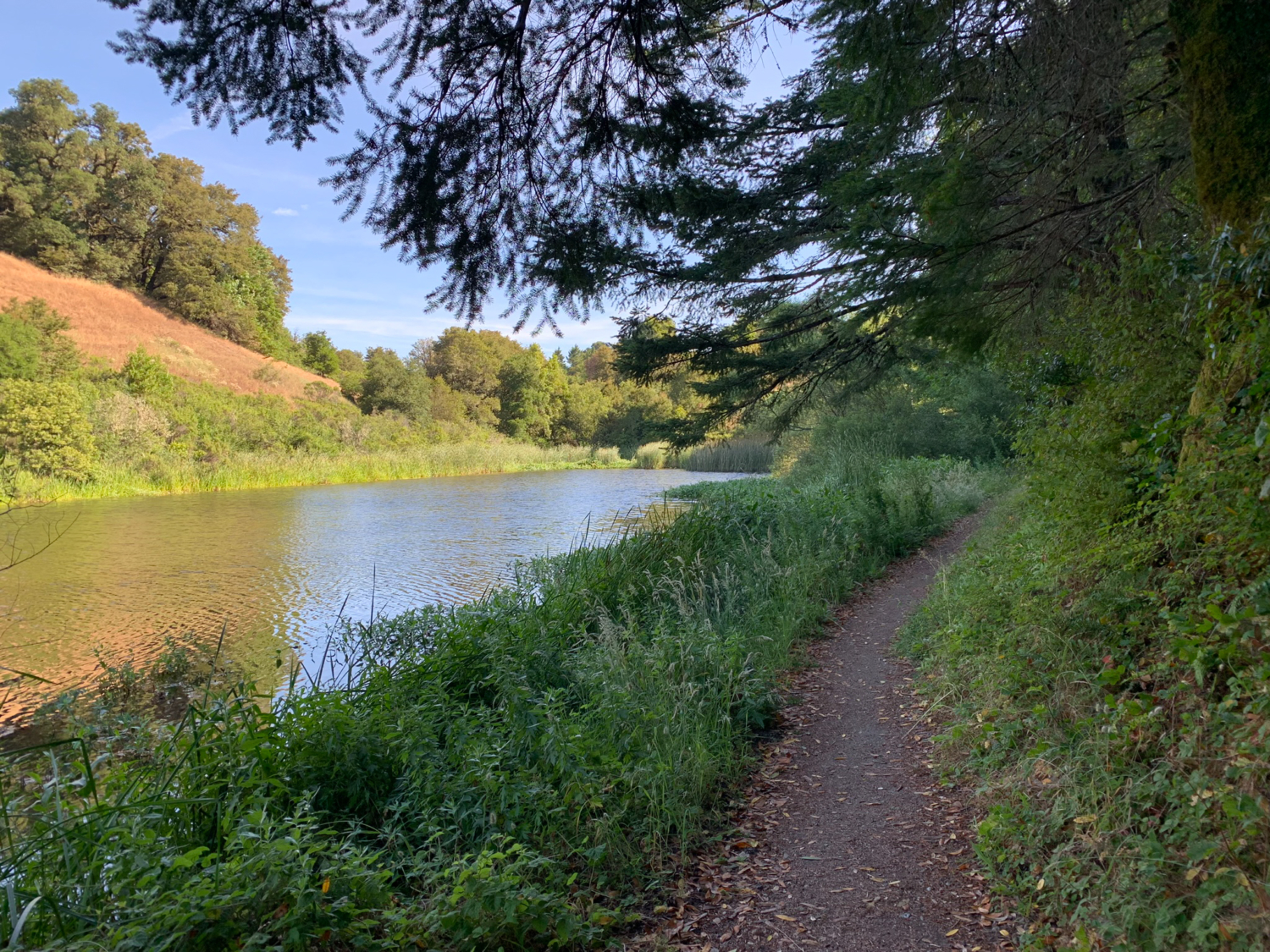 Alpine Pond to Horseshoe Lake