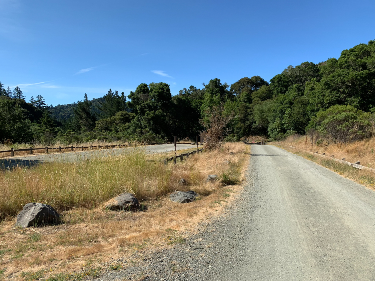 Alpine Pond to Horseshoe Lake