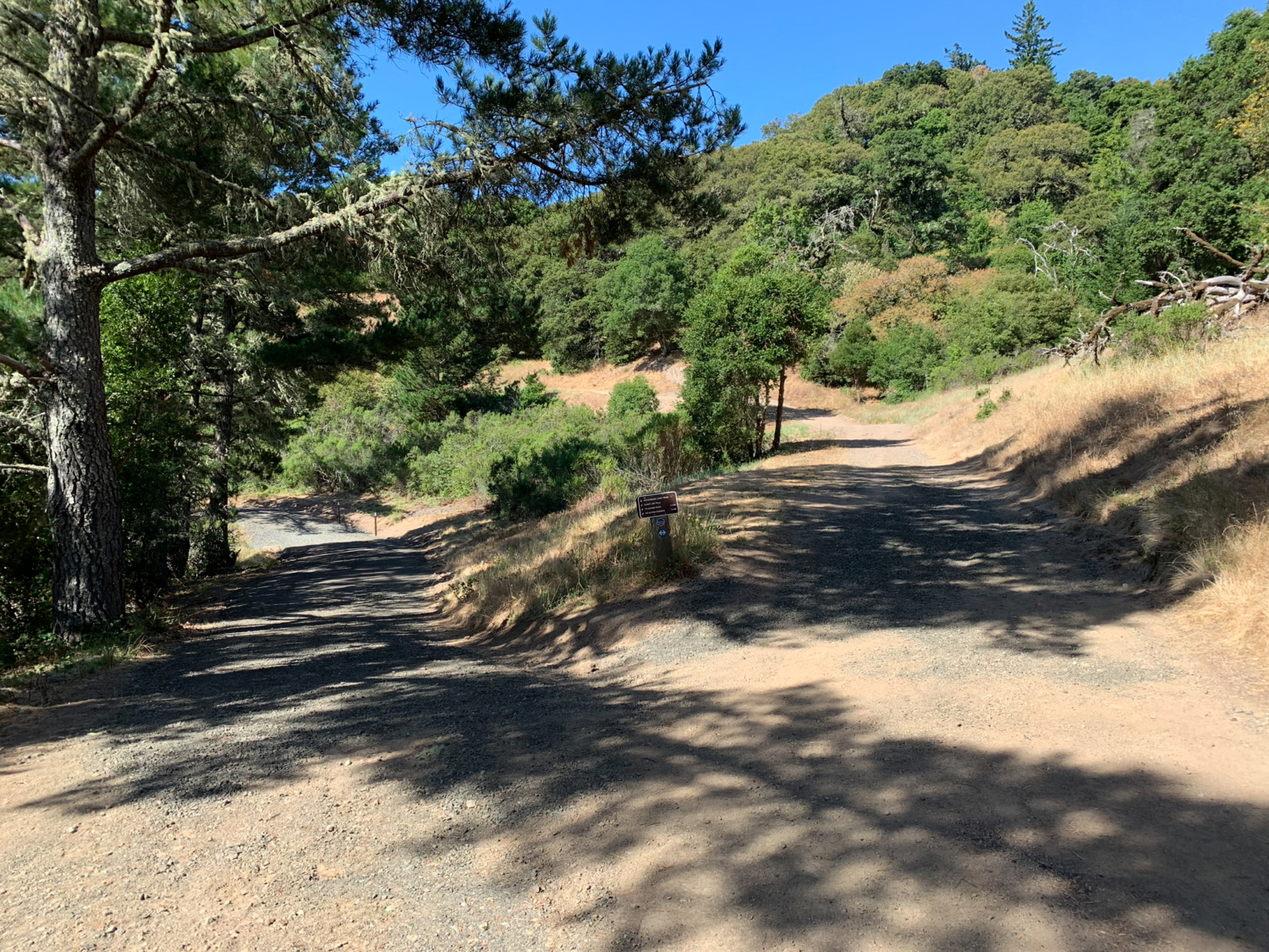 Alpine Pond to Horseshoe Lake