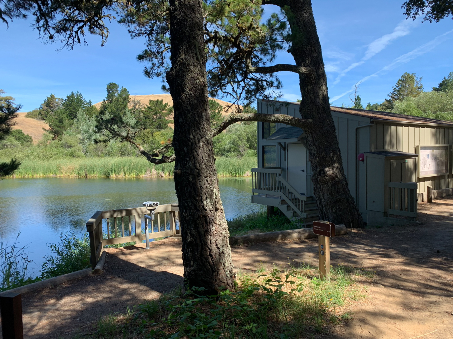 Alpine Pond to Horseshoe Lake