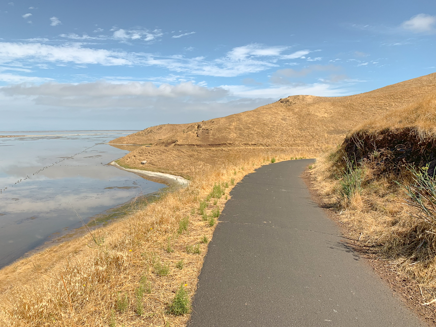 Quail and Bay View Trail Loop at Coyote Hills