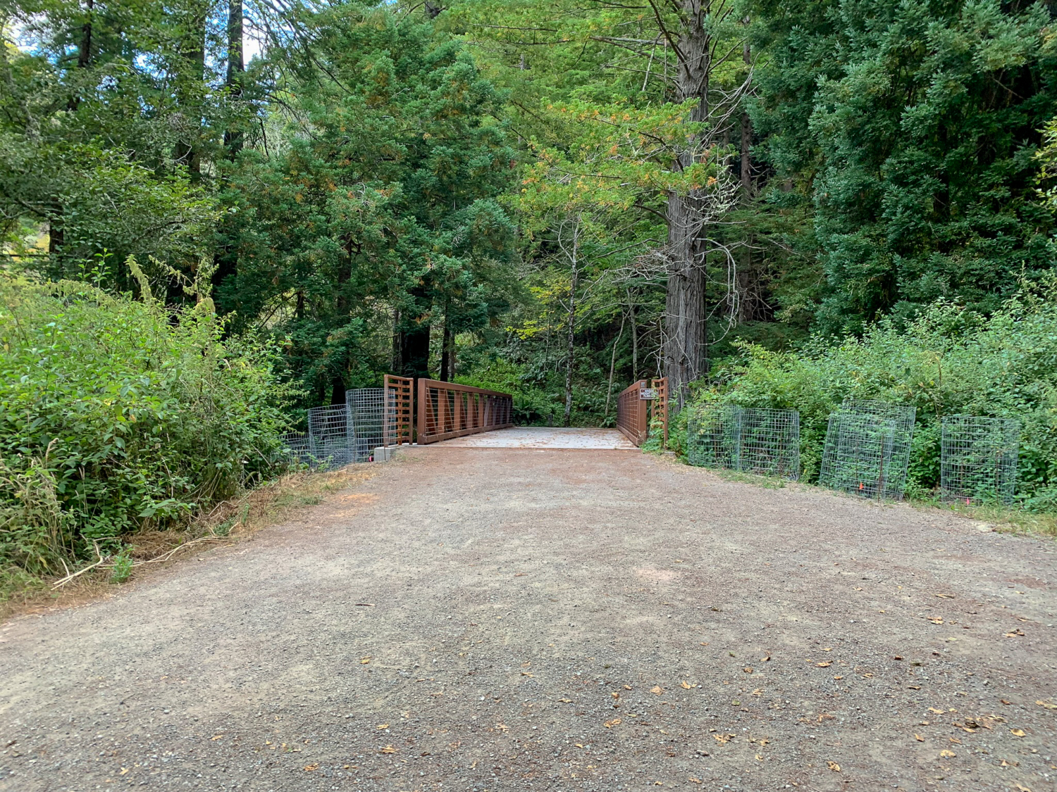 Whittemore Gulch-Purisima Creek Loop