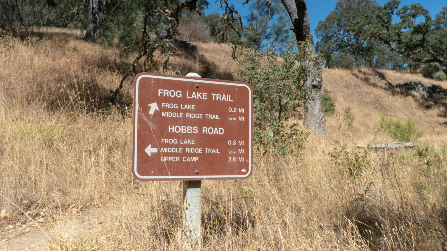 Frog Lake Loop